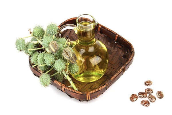 فوائد زيت الخروع